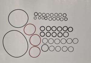 Zestaw oringów pompy AR1265 KIT 2347 