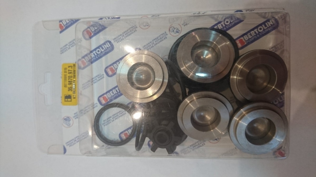 Zestaw zaworków pompy Bertolini PA908-1108