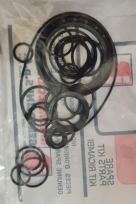 Zestaw uszczelnień pompy Bertolini PA730-PA830.1 