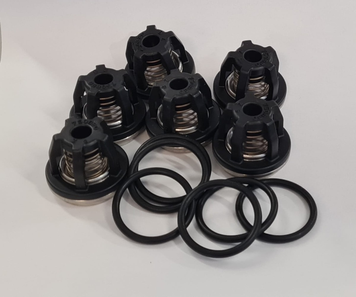 Zestaw zaworków 42200 pompy AR1203