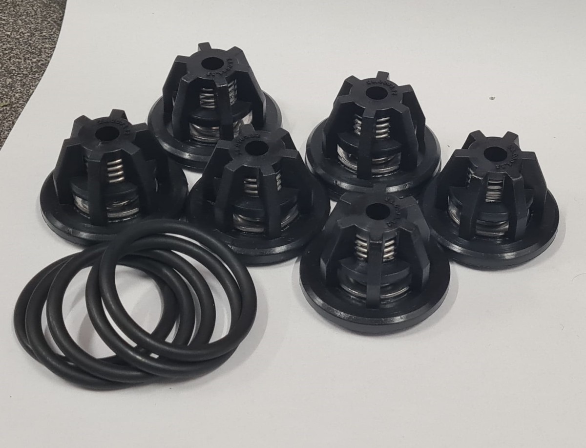 Zestaw zaworków pompy Bertolini POLY 2116-2136-2300(x2)