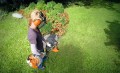 Kosa spalinowa Stihl FS 40 AC C5-2