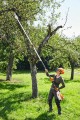 Podkrzesywarka akumulatorowa Stihl HTA 135 30 cm 3/8” PMM3 1,1 mm