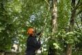 Podkrzesywarka akumulatorowa Stihl HTA 135 30 cm 3/8” PMM3 1,1 mm