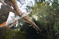 Podkrzesywarka akumulatorowa Stihl HTA 50 25 cm 1/4” PM3 1,1 mm