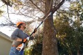 Podkrzesywarka akumulatorowa Stihl HTA 50 25 cm 1/4” PM3 1,1 mm