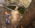 Podkrzesywarka akumulatorowa Stihl HTA 50 25 cm 1/4” PM3 1,1 mm