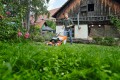 Kosiarka spalinowa Stihl RM 650 VE