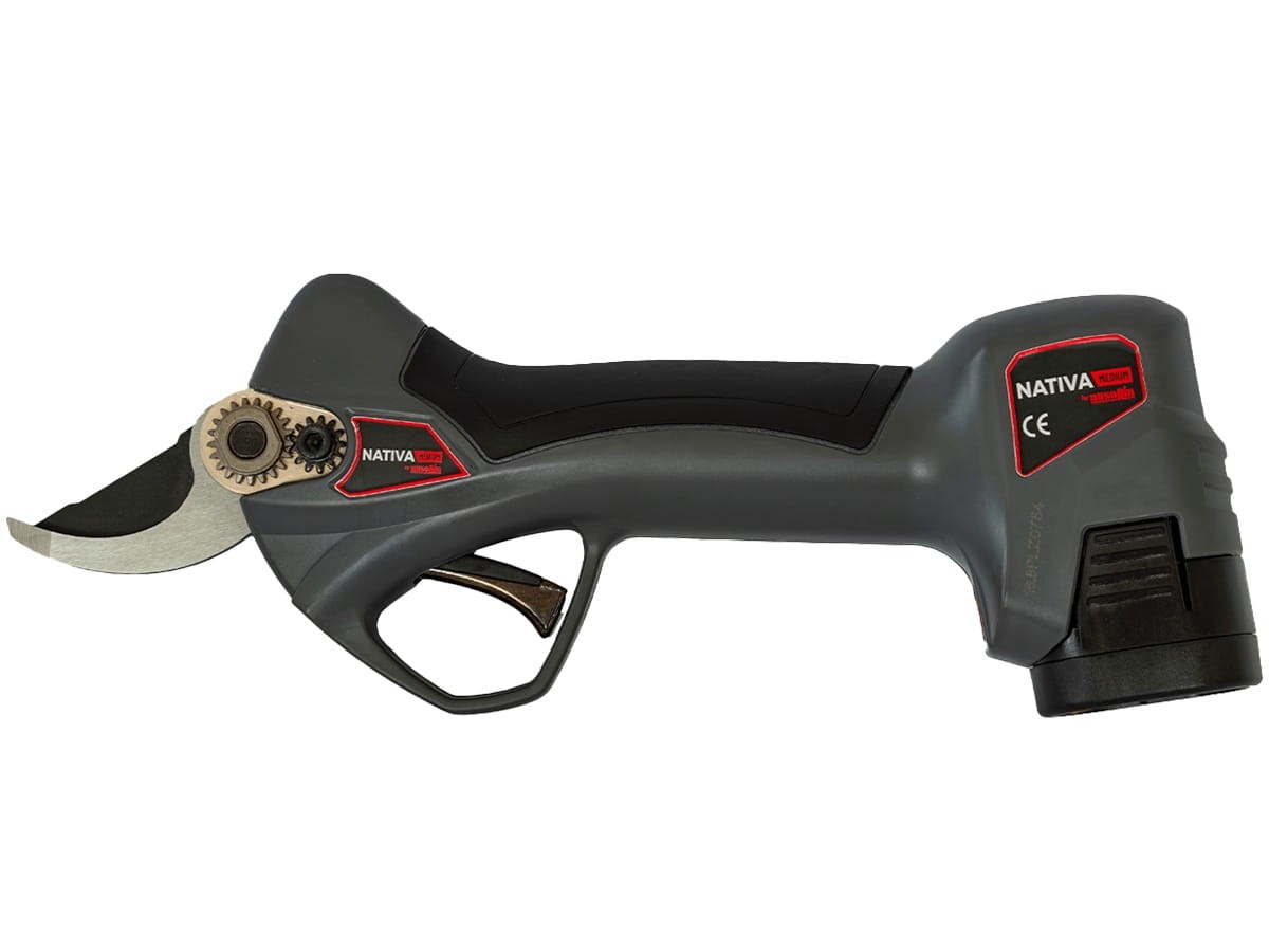 Sekator akumulatorowy Ausonia Nativa Medium