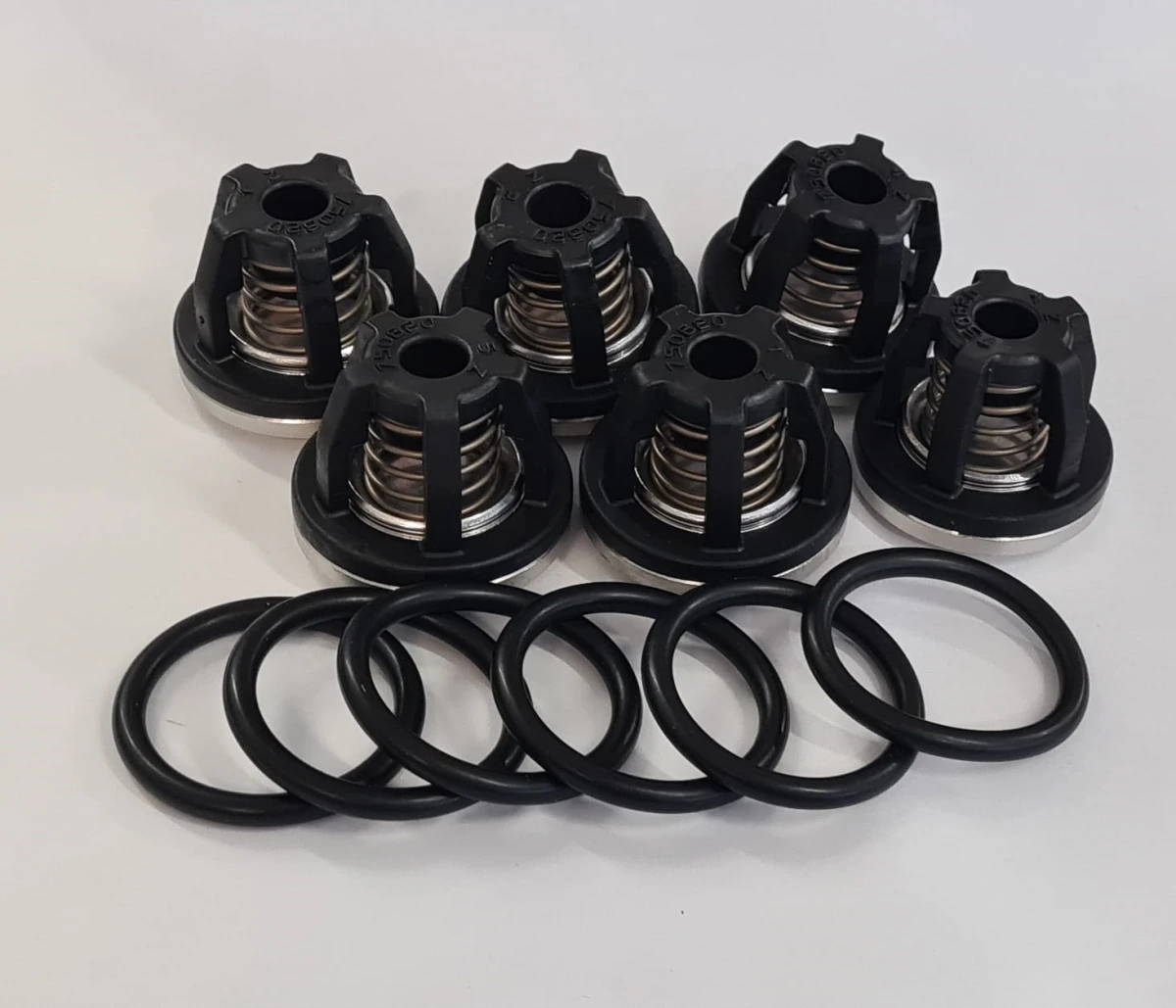 Zestaw zaworków do pompy BHS KIT 2445