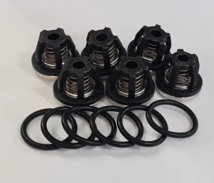 Zestaw zaworków do pompy BHS KIT 2445