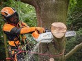 Piła akumulatorowa Stihl MSA 220 TC-O