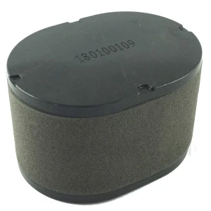 Filtr powietrza AL-KO PRO 700 V2,ECV8000 do T22, RT 6127 DO Loncin LC2P77F LC2P80F, Loncin LC2P77F, LC2V78F, LC1P92F, LC1P91F, 180100109