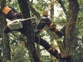 Piła akumulatorowa Stihl MSA 190T 35 cm 3/8” PS3 Pro 1,1 L01