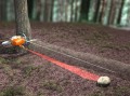 Uchwyt wskaźnika laserowego 2w1 piły MS661 C-M