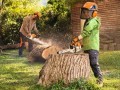 Zabawka pilarka spalinowa Stihl baterie w zestawie