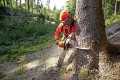 Piła spalinowa Stihl MS 362 40 cm; 3/8" RS