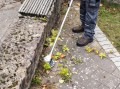 Nożyce obrotowe Stihl RG-KM - tarczowe przystawka do KombiMotor 