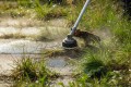 Kosa akumulatorowa Stihl FSA 135 z głowicą żyłkową AC C26-2