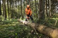 Piła akumulatorowa Stihl MSA 300.0 C-O 