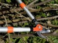 Sekator dwuręczny Bahco PG-19-F teleskopowy