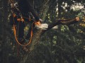 Kabura akumulatora Stihl AP z adapterem do pilarek MSA161T, MSA190T, MSA220T