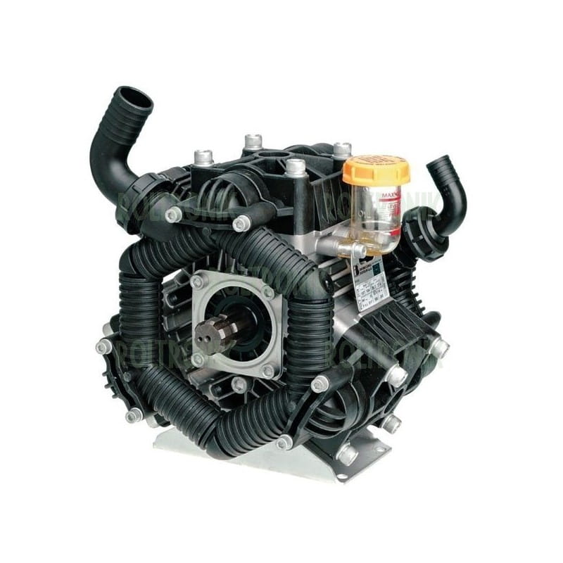 Pompa Bertolini POLY 2136VS