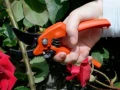 Sekator jednoręczny Bahco PG-03-L