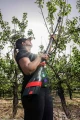 Śruba przedłużka sekatora Electrocoup F3020 P9F120 772VC 