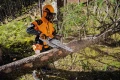 Piła spalinowa Stihl MS 241 C-M 35 cm 3/8" P.1.3 sprzedaż zakończona