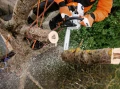 Piła spalinowa Stihl MS 201 T C-M 35 cm; 3/8”; PS3 PRO; 1,1 L-04 jednoręczna