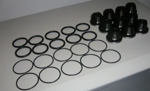 Zestaw zaworków AR1265 - AR110 KIT 2024  