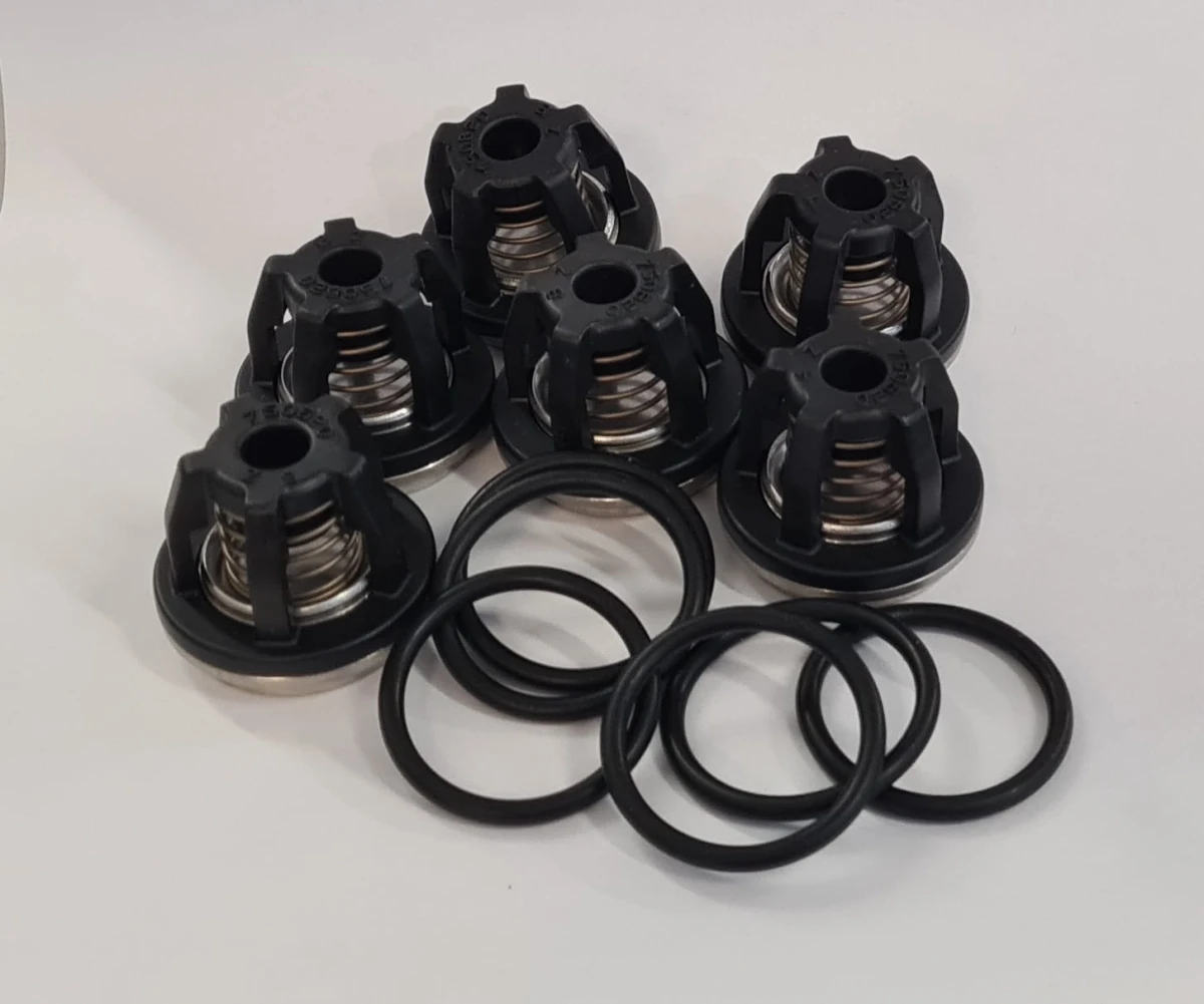 Zestaw zaworków 42200 pompy AR1203