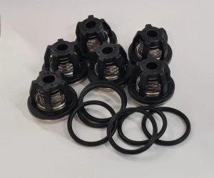 Zestaw zaworków 42200 pompy AR1203