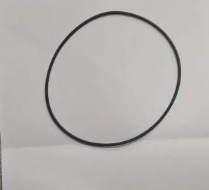 Oring 75.87X2.62