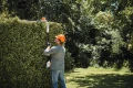 Nożyce akumulatorowe na wysięgniku Stihl HLA 56 + 2 x AK 20 i AL 101