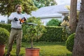 Nożyce akumulatorowe Stihl HSA 40 500 mm/20" z 2 x AS2 i AL1