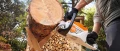 Piła akumulatorowa Stihl MSA 80 C-B z 2 x AK30S i AL101