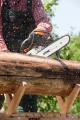 Piła spalinowa Stihl MS 251 40 cm 3/8" P PM3
