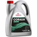 Olej sprężarkowy CORALIA L-DAA 100 5l do kompresora