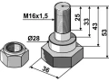 Śruba z nakrętką Fischer GL M16X31,5