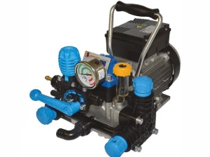 Motopompa Bertolini POLY 2020.1 DURAMAX z silnikiem elektrycznym RTE.1 230V 1,1 kW z zaworem PBP