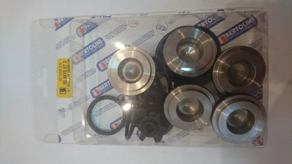 Zestaw zaworków pompy Bertolini PA908-1108