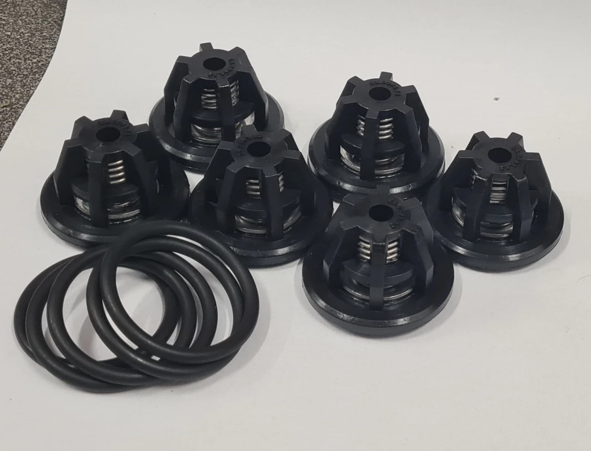Zestaw zaworków pompy Bertolini POLY 2116-2136-2300(x2)