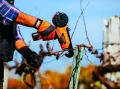 Wiązarka winorośli Bahco BCL40IB