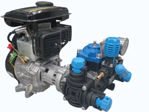 Motopompa Bertolini POLY 2020 RT2 22 l/min 20 bar z silnikiem spalinowym 2-suw AXO
