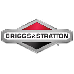 Briggs Stratton